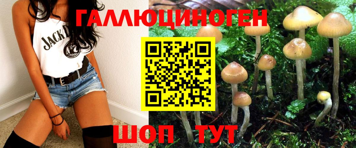 где найти наркотики  Галлюциногенные грибы Psilocybe  Вход с VPN  Котельники  Псилоцибиновые грибы Cubensis 