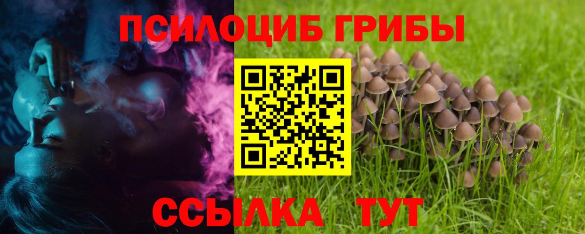 Псилоцибиновые грибы Psilocybe Котельники